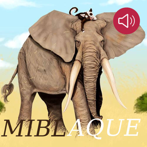 Miblaque
