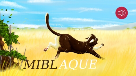 Miblaque