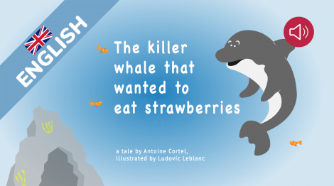 The killer whale that wanted to eat strawberries