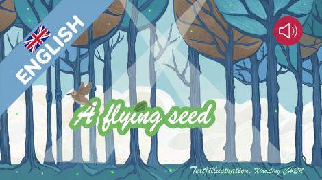 A flying seed