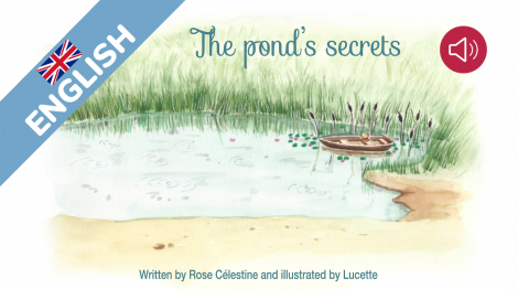 The pond's secrets