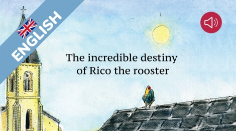 The incredible destiny of Rico the rooster