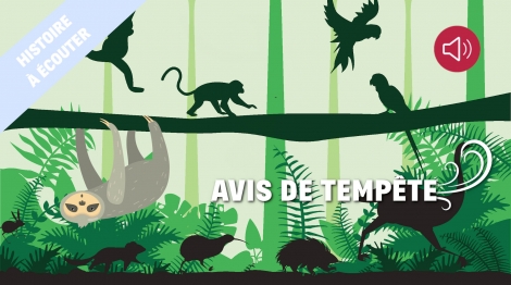 Avis de tempête