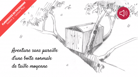 Aventure sans pareille d'une boîte normale de taille moyenne