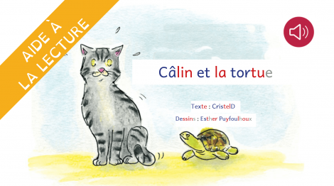 Câlin et la tortue