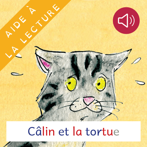 Câlin et la tortue