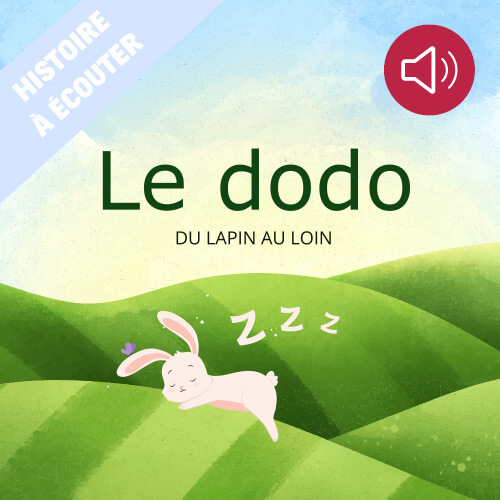 Le  dodo du lapin au loin