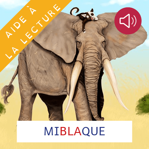 Miblaque - Livre adapté