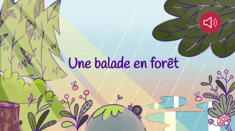 Une balade en forêt