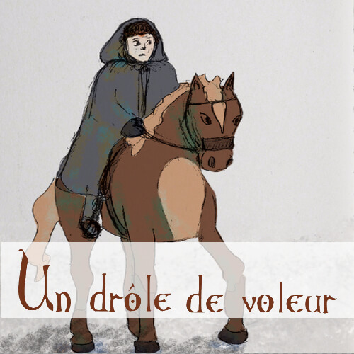 Un drôle de voleur