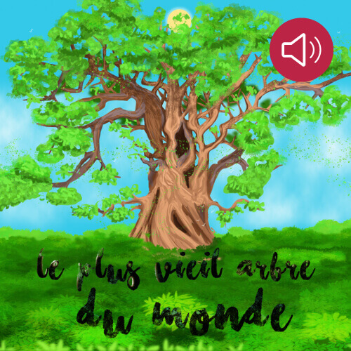 Le  plus vieil arbre du monde