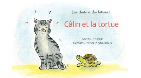 Câlin et la tortue