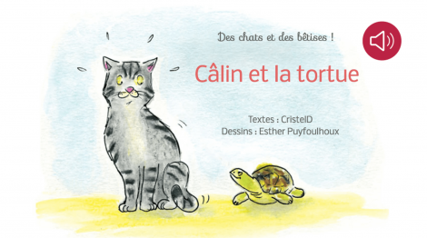 Câlin et la tortue