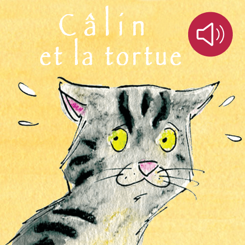 Câlin et la tortue