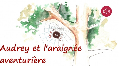 Audrey et l'Araignée aventurière